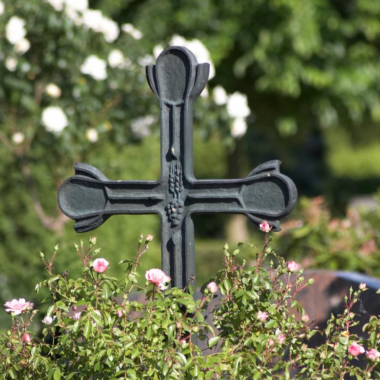 Schwarzes Kreuz umgeben von pinken Rosen in einem grünen Gartenhintergrund.